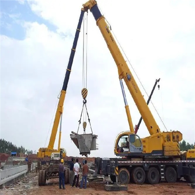 莱城小型吊机出租电话|厂房设备吊装方案|24小时服务覆盖